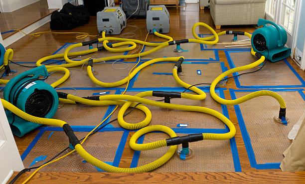 Professional Water Extraction technician working in Clayton, IN